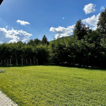 Casa Cu Salcami Villa Alsómoécs Kültér fotó