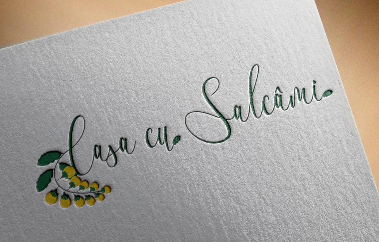 Casa Cu Salcami Villa Alsómoécs Kültér fotó