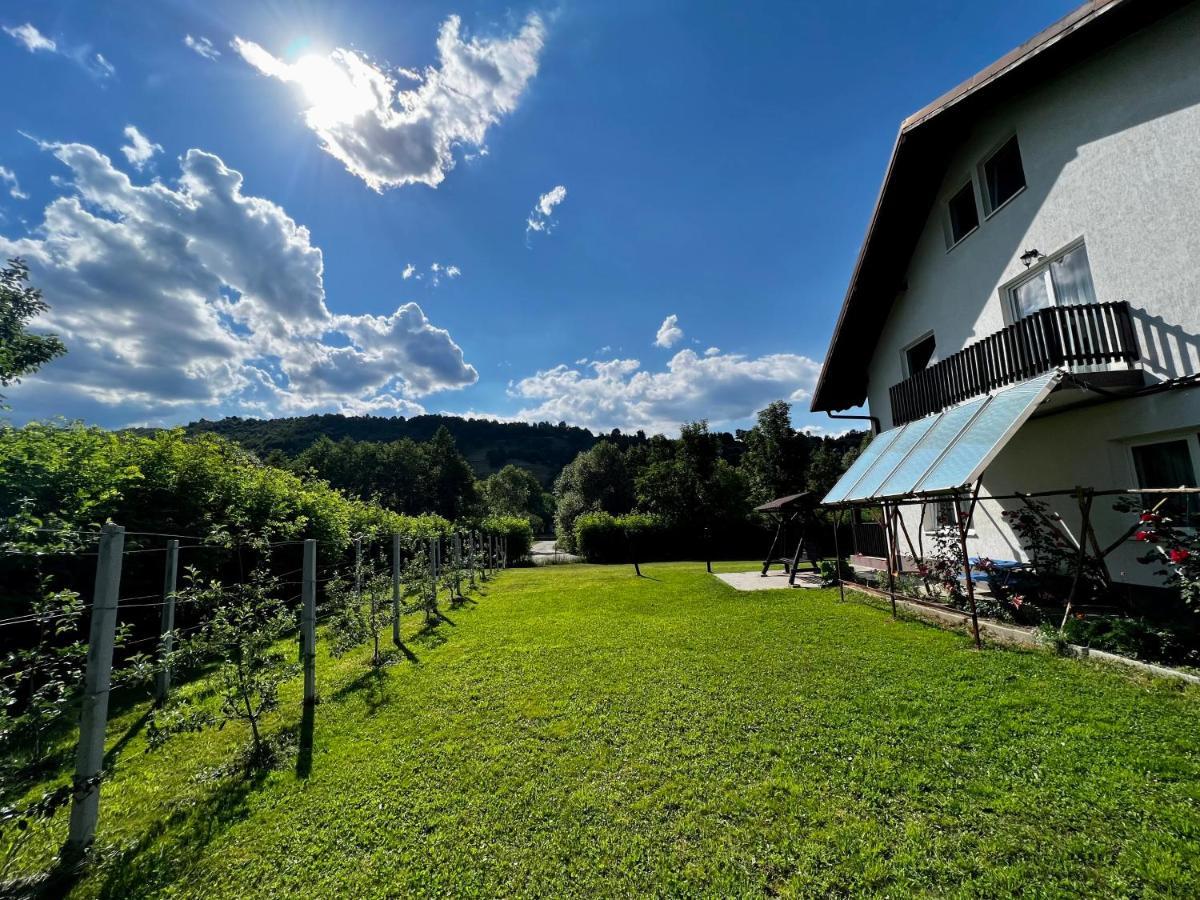 Casa Cu Salcami Villa Alsómoécs Kültér fotó